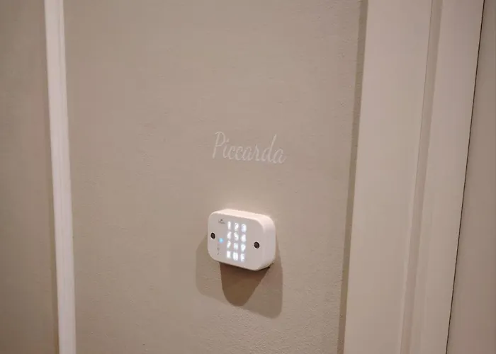 Artiminus Carmignano