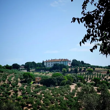 Bed & Breakfast Artiminus Carmignano